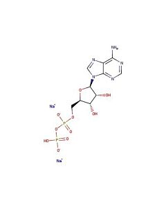 Astatech ADENOSINE-5-DIPHOSPHATE, DISODIUM SALT; 5G; Purity 98%; MDL-MFCD00066635